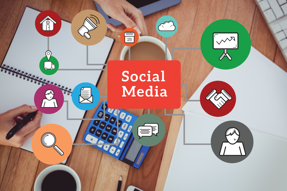 Digital Media Management Consultancy
